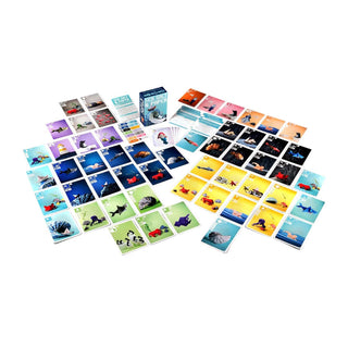 Sea Salt and Paper - Toki